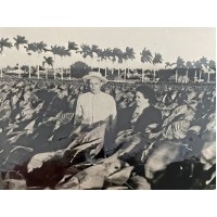 Cuban Tobacco Farm Juan Sixto Poem English