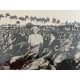 Cuban Tobacco Farm Juan Sixto 1948 Canvas 16 " x 20 "